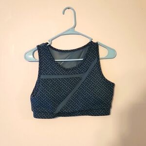Cleo harper sports bra